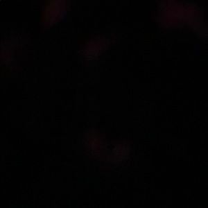 Meet your Posher, Jb